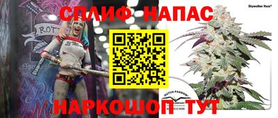 прущие грибы Брянск